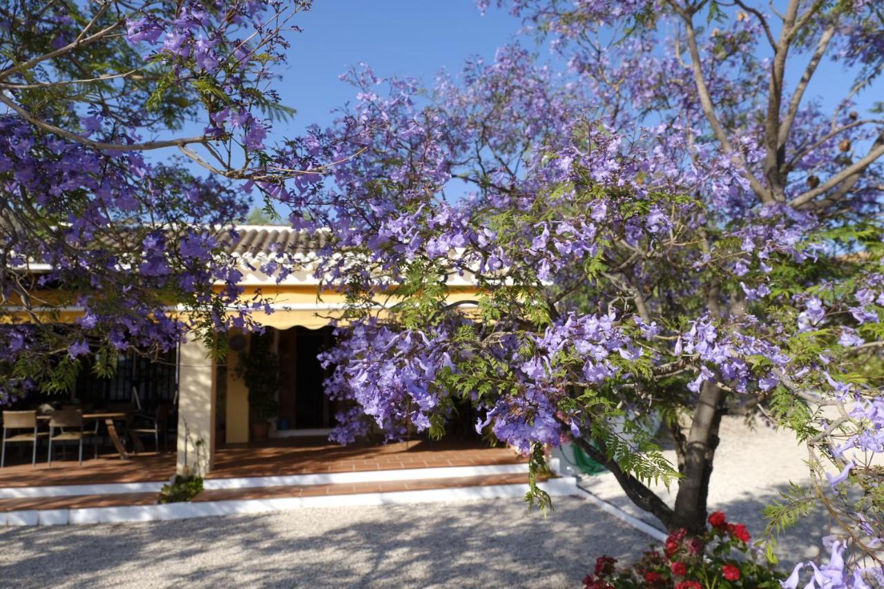 Finca Gordo Ríogordo Eksteriør bilde