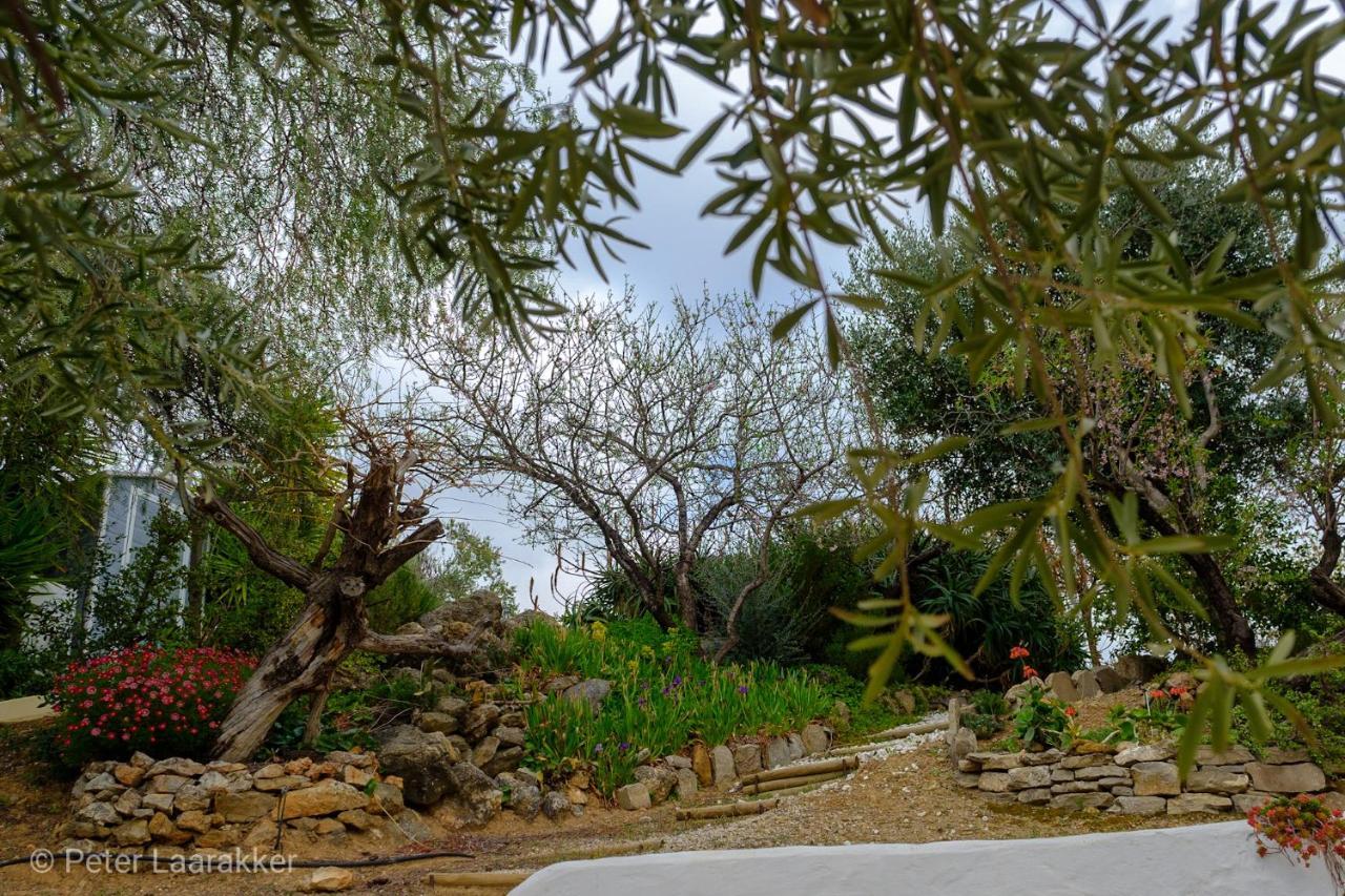 Finca Gordo Ríogordo Eksteriør bilde